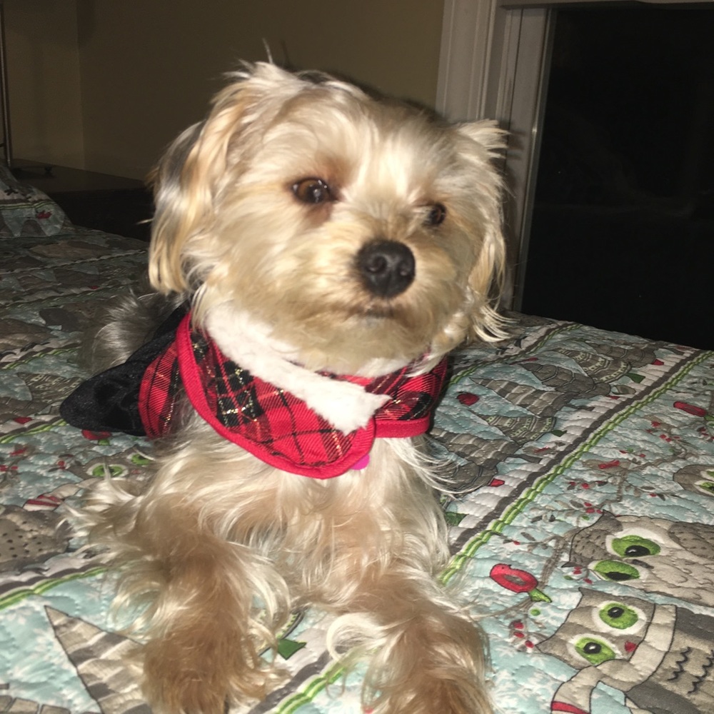 Meet your Posher, Grace